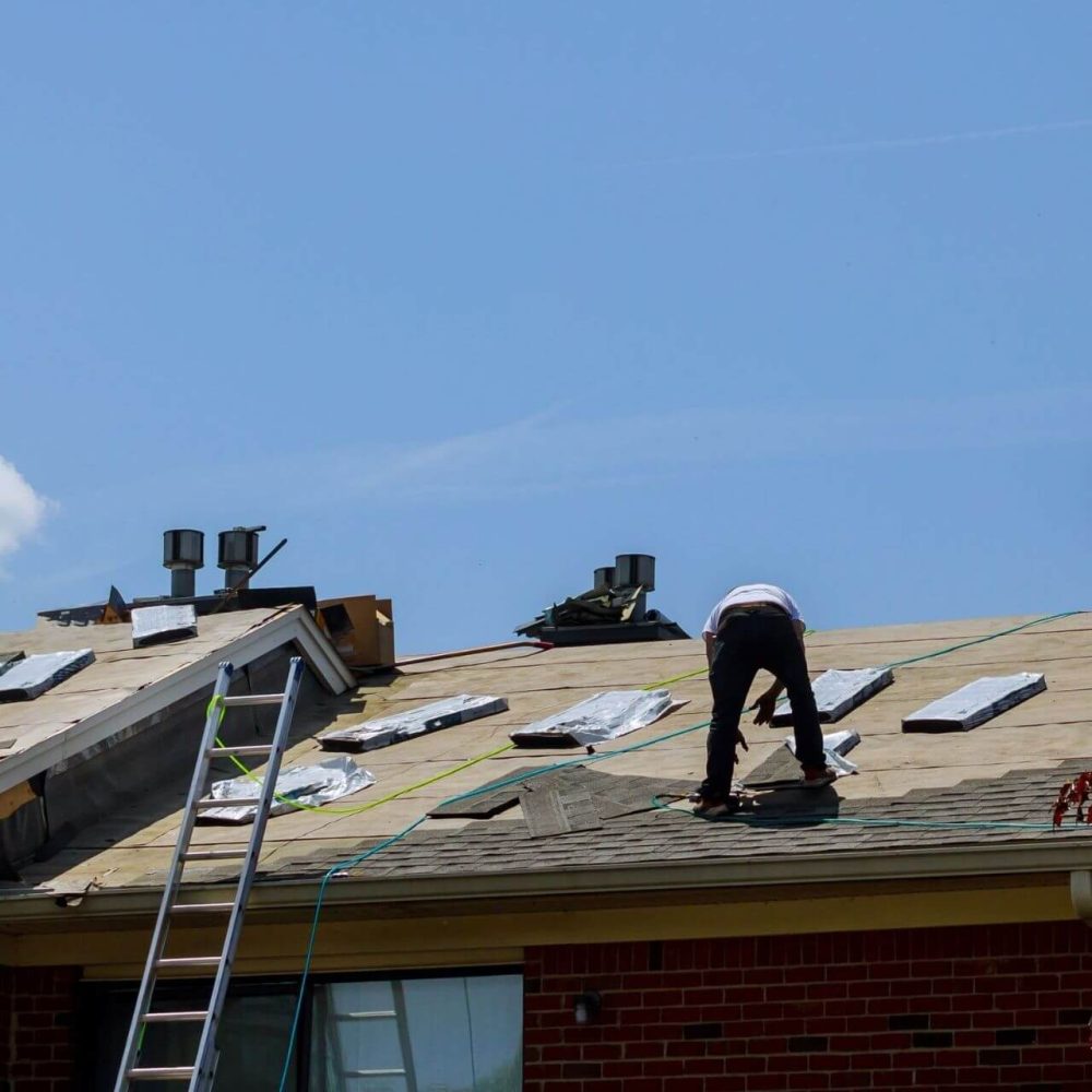 A-Girl-On-A-Roof-Shingles